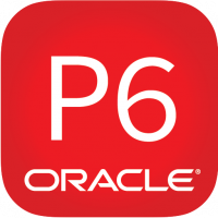 Oracle® Primavera P6 Professional Basic Online Schulung (EN)